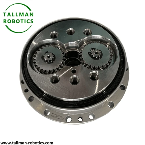 RV Cycloidal Reducer best